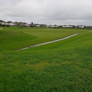 Meet your Posher, Carina